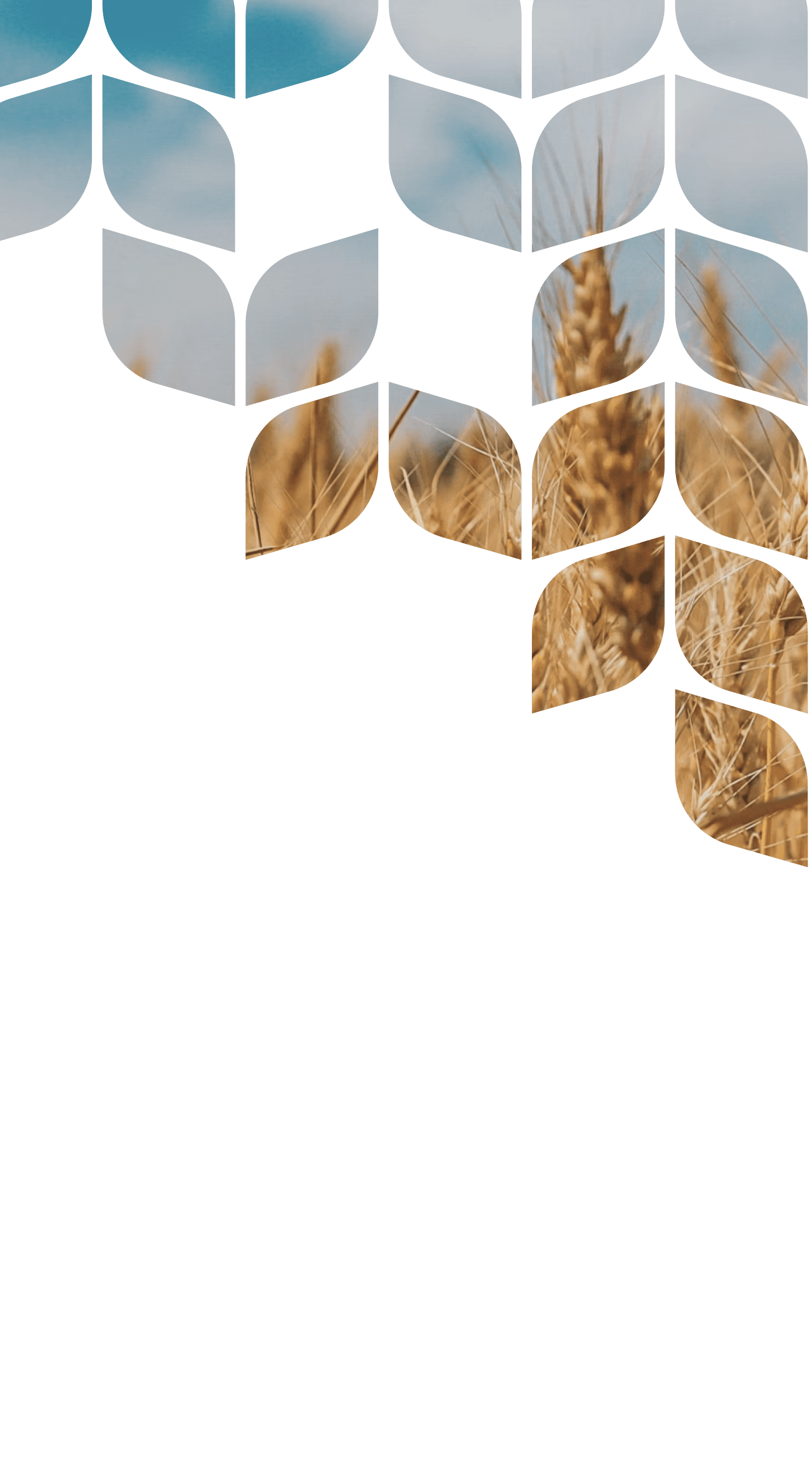 Головний банер