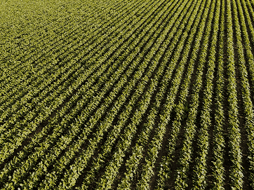 Імʼя Прізвище