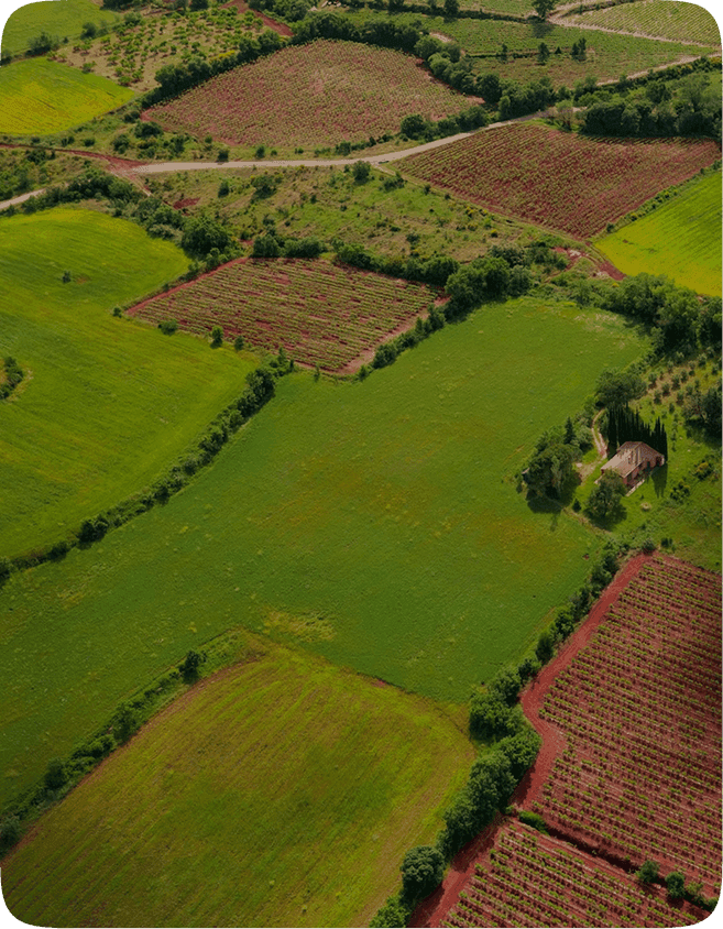 Земельний бізнес